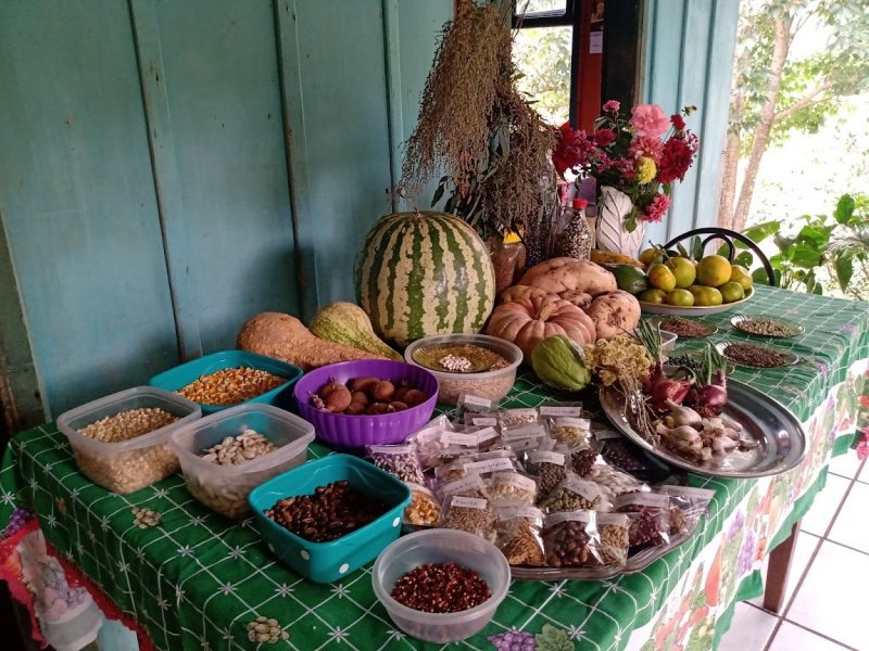 Os visitantes poder&atilde;o saborear diversos produtos artesanais – Foto: MB Comunica&ccedil;&atilde;o/ND