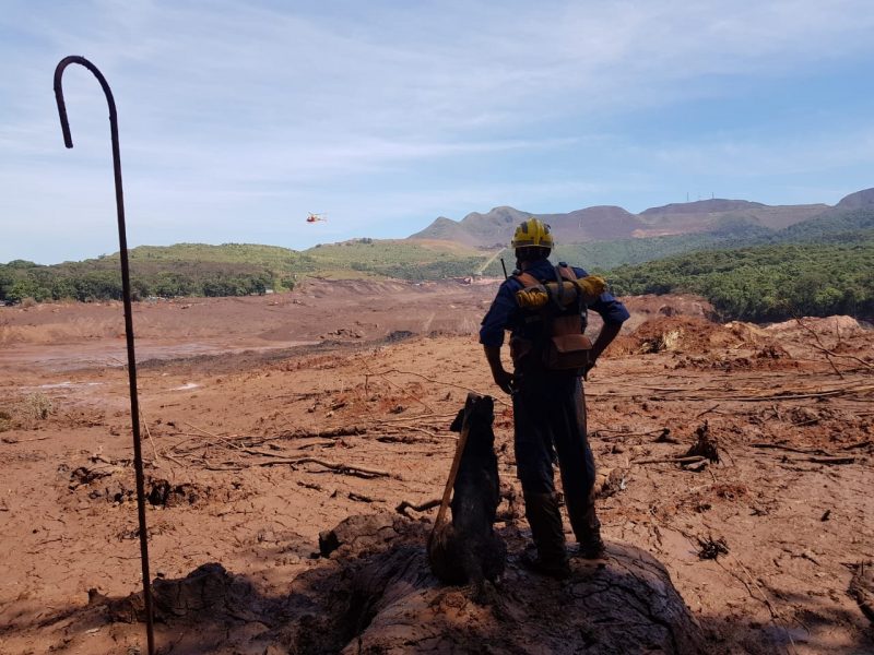 V&iacute;timas de Brumadinho: cerca de 272 vidas foram ceifadas pela trag&eacute;dia – Foto: Reprodu&ccedil;&atilde;o/ND