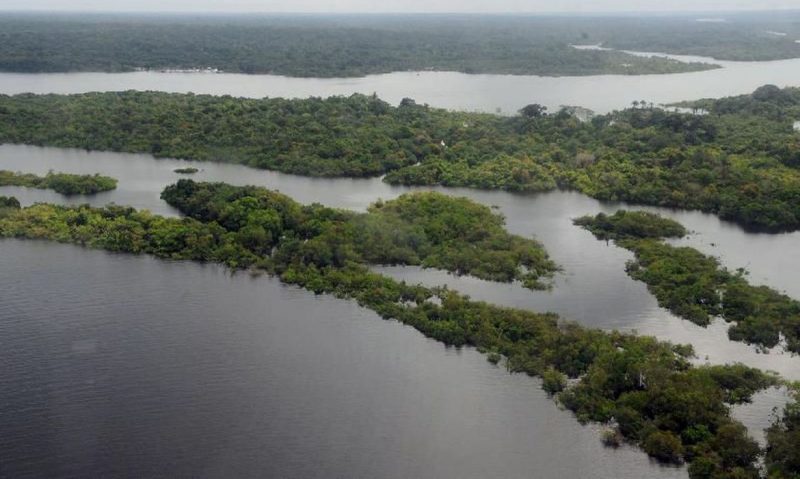 Descubra as previsões para 2025; uma delas pode ser sobre a Amazônia 