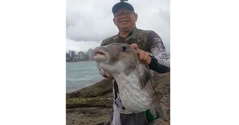 Baiacu que dorme a onda leva e joga em cima da pedra – Foto: Reprodu&ccedil;&atilde;o