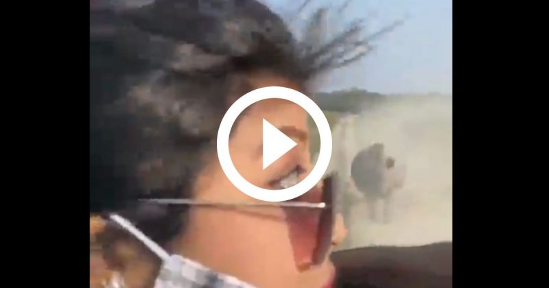 "Bhaga, bhaga": mulher pedia desesperada para o motorista acelerar, em razão da aproximação do rinoceronte - Foto: Reprodução