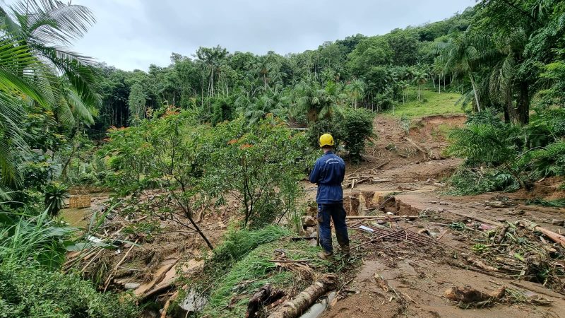 Dois bombeiros e dois c&atilde;es farejadores est&atilde;o realizando os trabalhos de buscas – Foto: Bombeiros Militares/Reprodu&ccedil;&atilde;o/ND