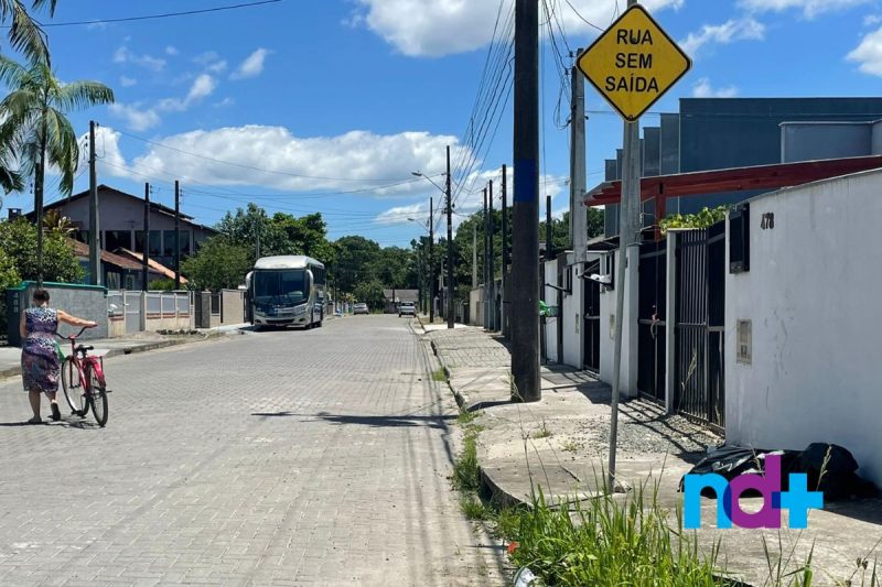 Dois c&atilde;es fugiram e causaram confus&atilde;o em Joinville – Foto: Felipe Bambace/NDTV