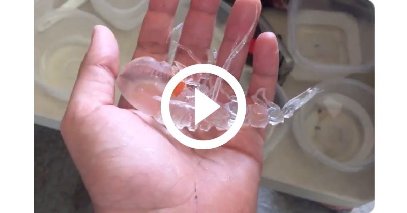 Crustáceo deixou internautas intrigados - Foto: Reprodução