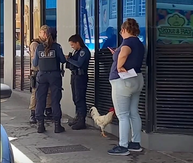 Ocorr&ecirc;ncia foi atendida pela GMF e pela PM – Foto: @enzo_didomenico/Instagram/ND