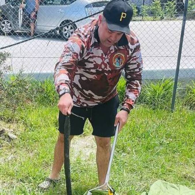 Homem captura cobra com veneno mortal e solta animal ap&oacute;s n&atilde;o receber pagamento – Foto: Reprodu&ccedil;&atilde;o/ND