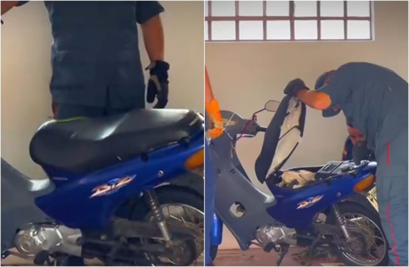 serpente, cobra, moto