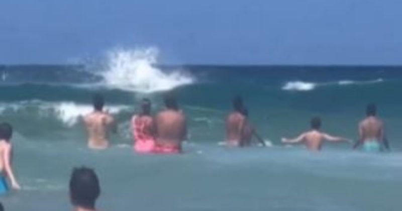 V&iacute;deo mostra verdadeiro show dos golfinhos nos Ingleses – Foto: Reprodu&ccedil;&atilde;o/praiadosinglesesfloripa/ND