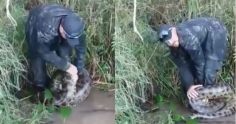 V&iacute;deo mostra homem sendo atacado pela cobra – Foto: Reprodu&ccedil;&atilde;o/Charlles e Tiringa/ND