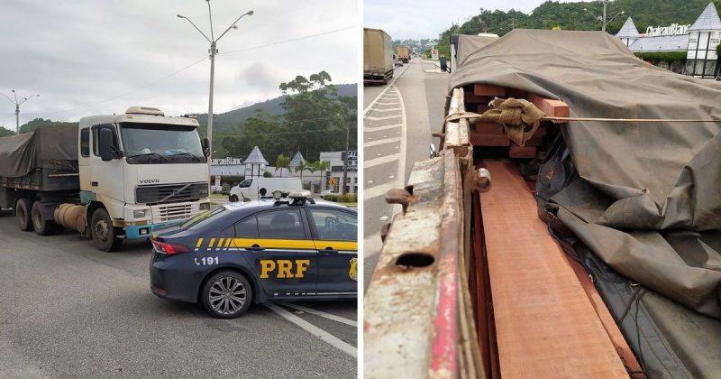 19 metros c&uacute;bicos de madeira da Amaz&ocirc;nia foram apreendidos pela PRF – Foto: PRF/Divulga&ccedil;&atilde;o