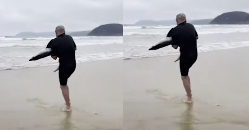 Momento em que Paul resgata o animal na praia – Foto: Internet/Reprodu&ccedil;&atilde;o/ND