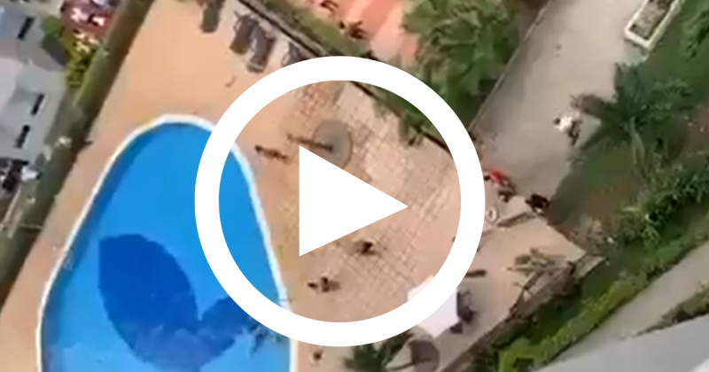 Momento em que as pessoas se aproximam para tentar ajudar as v&iacute;timas – Foto: Twitter/Reprodu&ccedil;&atilde;o/ND