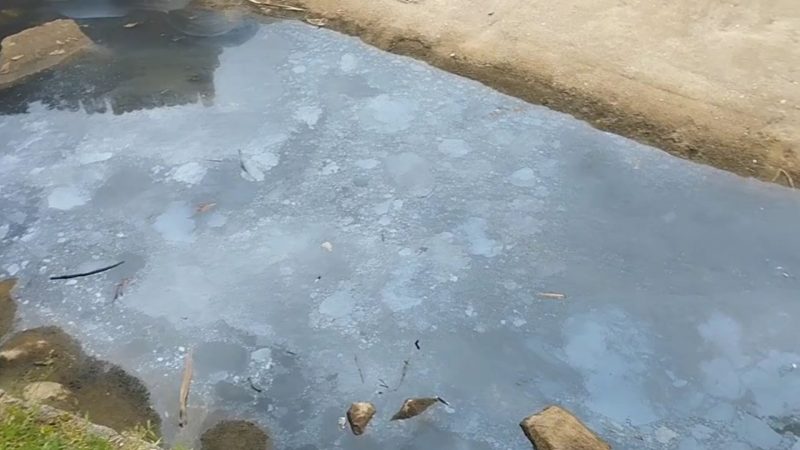 Moradores denunciam 'riozinho' de esgoto em praia de Florianópolis