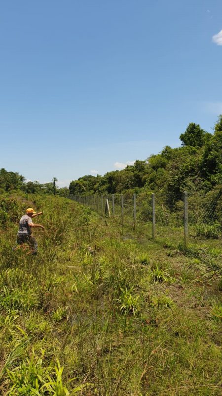 Cerca onde os trabalhadores faziam a manuten&ccedil;&atilde;o – Foto: Pol&iacute;cia Civil/Divulga&ccedil;&atilde;o/ND