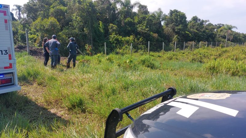 Local onde o corpo foi encontrado – Foto: Corpo de mulher &eacute; encontrado por trabalhadores em parque de Itapo&aacute;