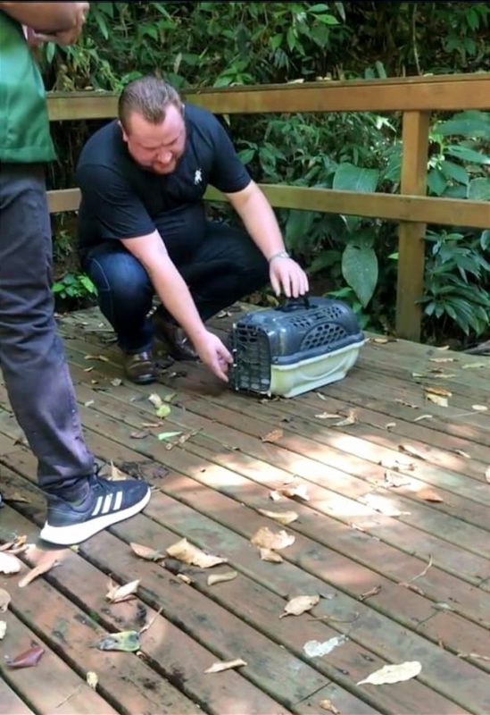 Corujinha-do-mato vira atra&ccedil;&atilde;o ilustre em capacita&ccedil;&atilde;o de servidores em Blumenau – Foto: Divulga&ccedil;&atilde;o/Prefeitura de Blumenau