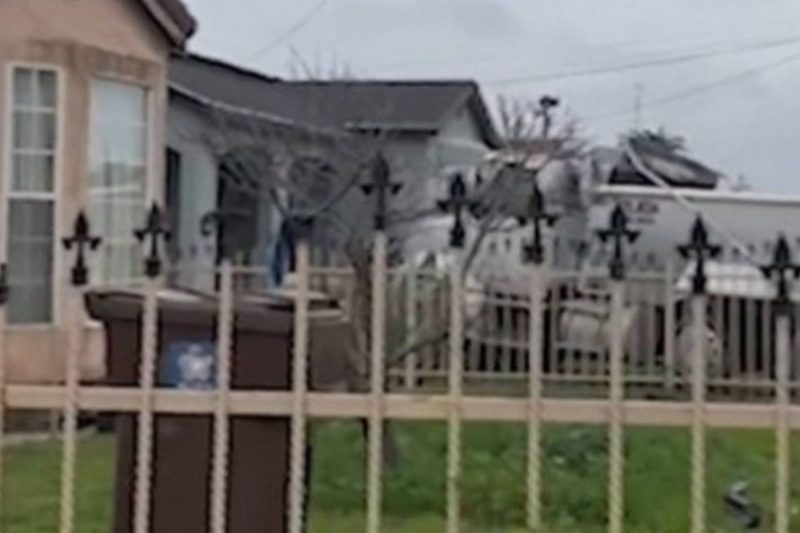 Homem de 62 anos jogou caminh&atilde;o contra casa e carro da companheira – Foto: Reprodu&ccedil;&atilde;o/Twitter