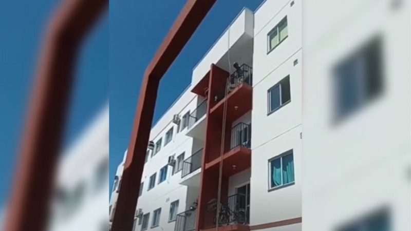 Cachorro &eacute; resgatado de sacada de apartamento em Palho&ccedil;a – Foto: Reprodu&ccedil;&atilde;o/ ND