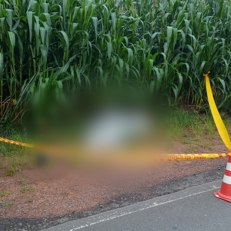 Em trecho sem acostamento, homem morre atropelado ap&oacute;s ser atingido por carro em Rio do Cedros – Foto: Divulga&ccedil;&atilde;o/Corpo de Bombeiros Militar