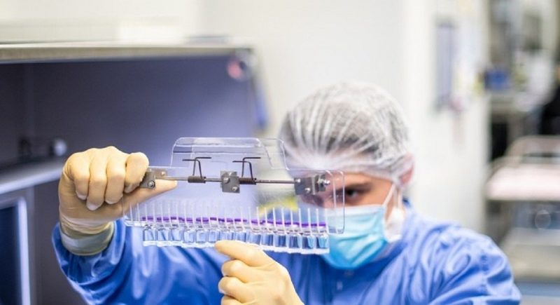 Lotes da vacina contra a Covid anteriores a esta quarta (11) precisar&atilde;o de autoriza&ccedil;&atilde;o para estender validade – Foto: Divulga&ccedil;&atilde;o /Pfizer