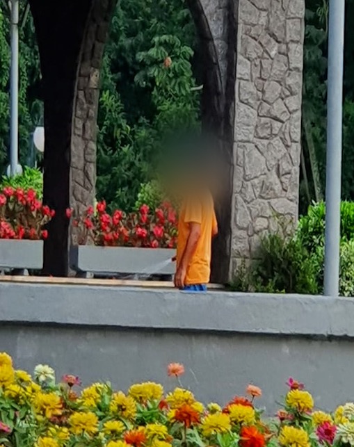 Irriga&ccedil;&atilde;o das flores &eacute; uma cena comum no Centro de Blumenau – Foto: Divulga&ccedil;&atilde;o/ND