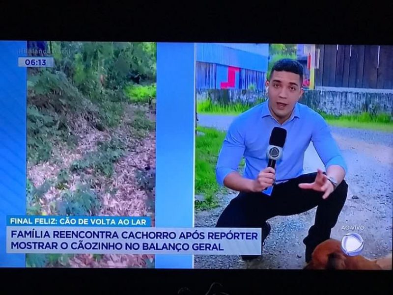 Rep&oacute;rter reencontra c&atilde;ozinho ap&oacute;s o acontecimento – Foto: @marcoshgs/Twitter/Reprodu&ccedil;&atilde;o/ND