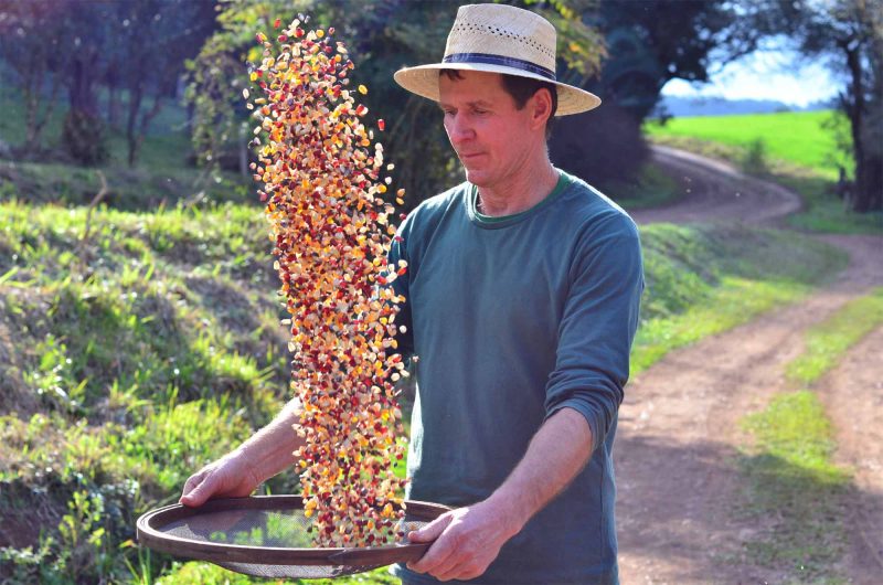 Projeto &eacute; desenvolvido em Frei Rog&eacute;rio – Foto: Aires Mariga/Epagri/ND