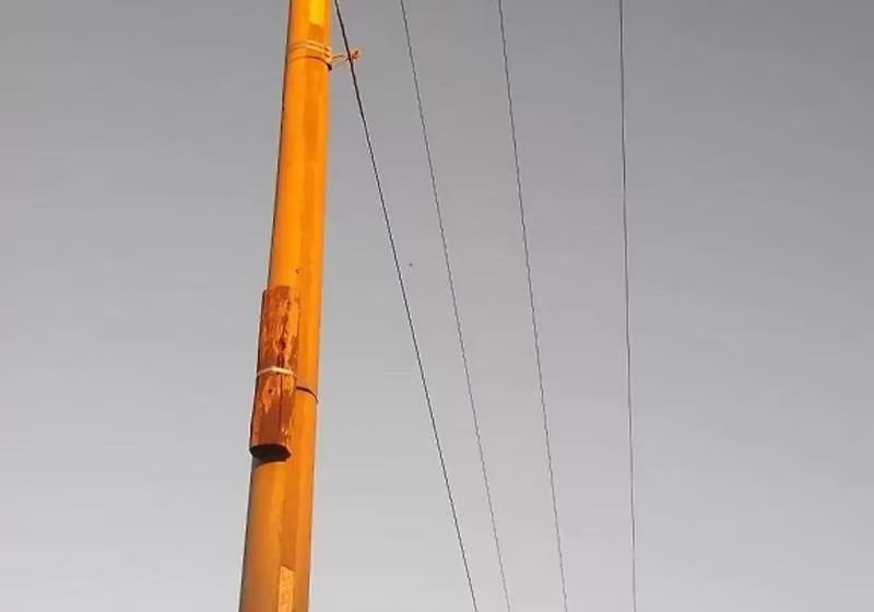 Um poste com um peda&ccedil;o de madeira revelou uma hist&oacute;ria comovente. &mdash; Foto: Gustavo Oscar Perusia/Reprodu&ccedil;&atilde;o/The Dodo interna