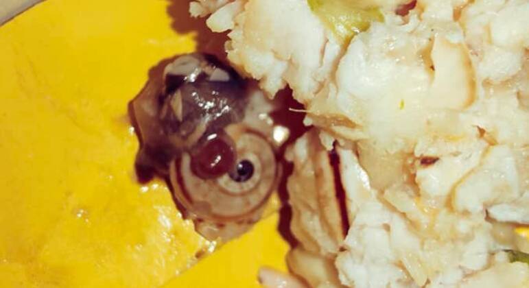 Animal foi mordido por consumidora, que saboreava um wrap de frango – Foto: Internet/Reprodu&ccedil;&atilde;o/ND