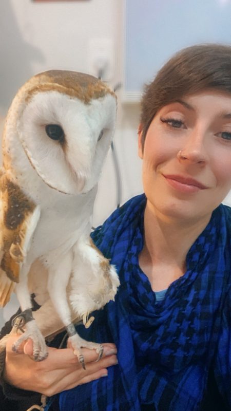 coruja, pet, animal de estimação, médica veterinária