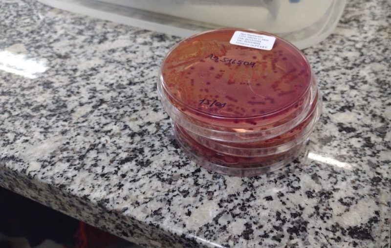 Estado intensifica a coleta de amostras de &aacute;gua para an&aacute;lise- Foto: SES/Divulga&ccedil;&atilde;o/ND