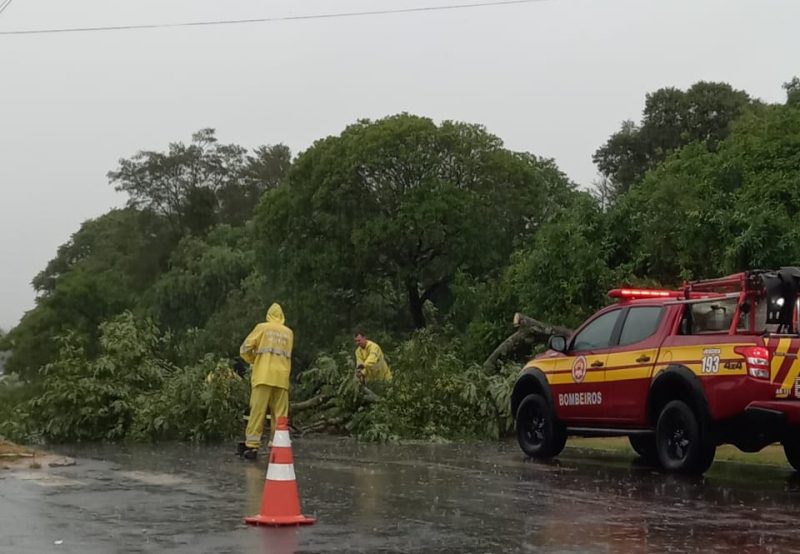Foram distribu&iacute;dos 220 m&sup2; de lonas. &mdash; Foto: Luan Peretti/R&aacute;dio Fronteira/Reprodu&ccedil;&atilde;o