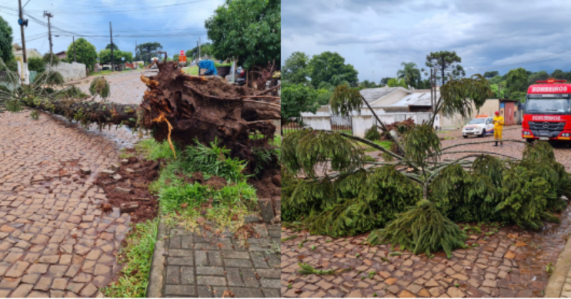 Microexplos&atilde;o &eacute; investigada em munic&iacute;pio do Oeste catarinense – Foto: Defesa Civil/Divulga&ccedil;&atilde;o/ND