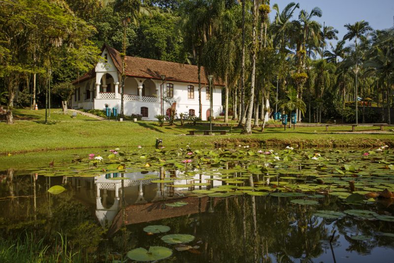 Museu de Arte – Foto: Prefeitura Municipal de Joinville/Divulga&ccedil;&atilde;o