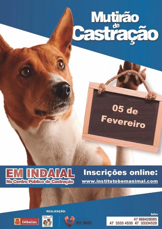 Mutir&atilde;o para castra&ccedil;&atilde;o de Indaial acontece em 5 de fevereiro – Foto: Prefeitura de Indaial/Divulga&ccedil;&atilde;o/ND