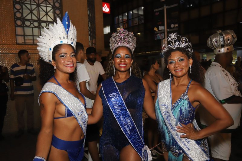 O sol, preservação do meio-ambiente e a resistência do povo Guarani serão destacados na avenida