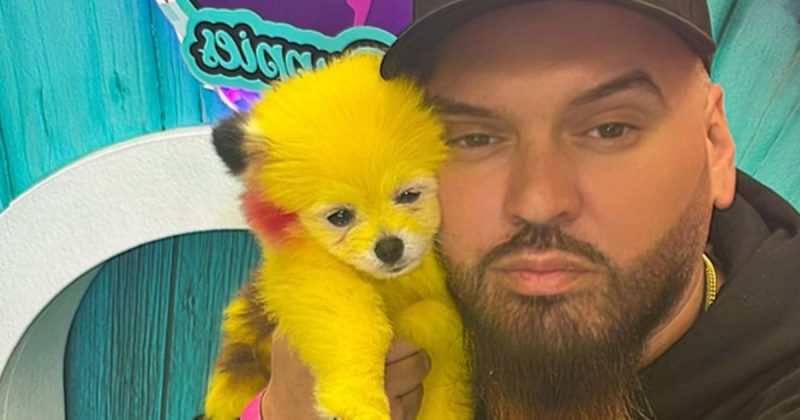 O c&atilde;ozinho Zaza e seu dono: cr&iacute;ticas e multa – Foto: Reprodu&ccedil;&atilde;o