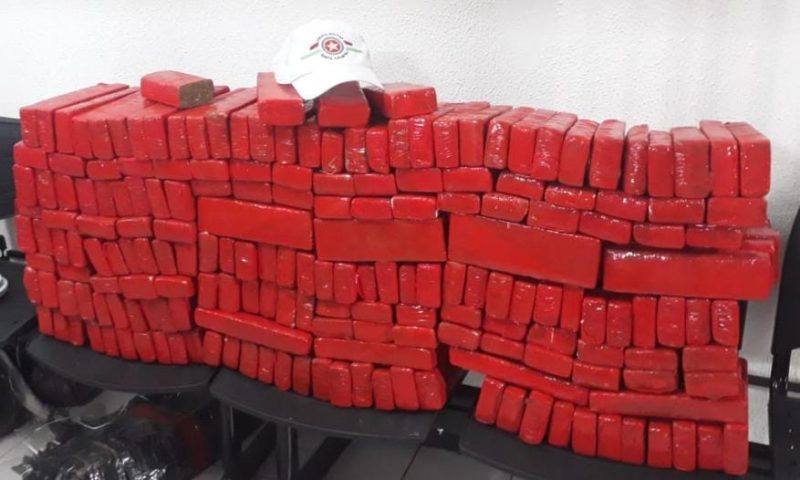 A pol&iacute;cia apreendeu cerca de 140 kg de maconha em Campo Er&ecirc;. &mdash; Foto: PMRv/Reprodu&ccedil;&atilde;o/ND