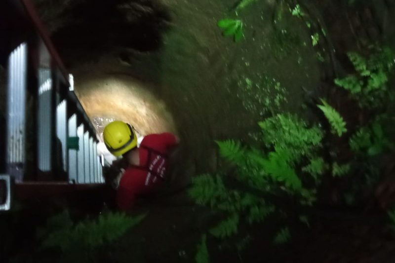 Porco de 200 kg caiu em po&ccedil;o e foi resgatado pelos bombeiros – Foto: CBM/Divulga&ccedil;&atilde;o