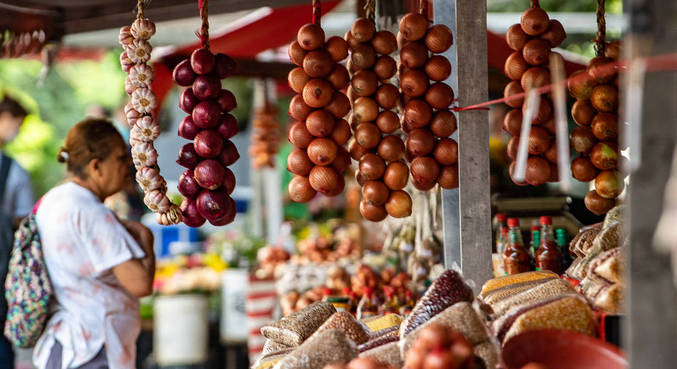 Pre&ccedil;o da cebola mais do que dobrou em 2022, afirma IBGE – Foto: Edu Garcia/R7/Reprodu&ccedil;&atilde;o/ND