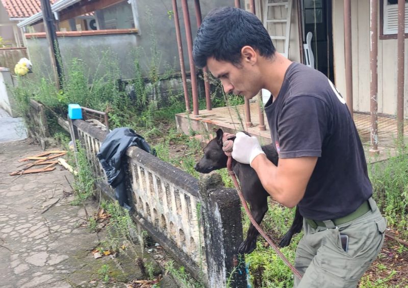 Casa que a mulher ocupava era invadida, no bairro Arma&ccedil;&atilde;o, segundo a prefeitura de Penha – Foto: Prefeitura de Penha/Divulga&ccedil;&atilde;o/ND