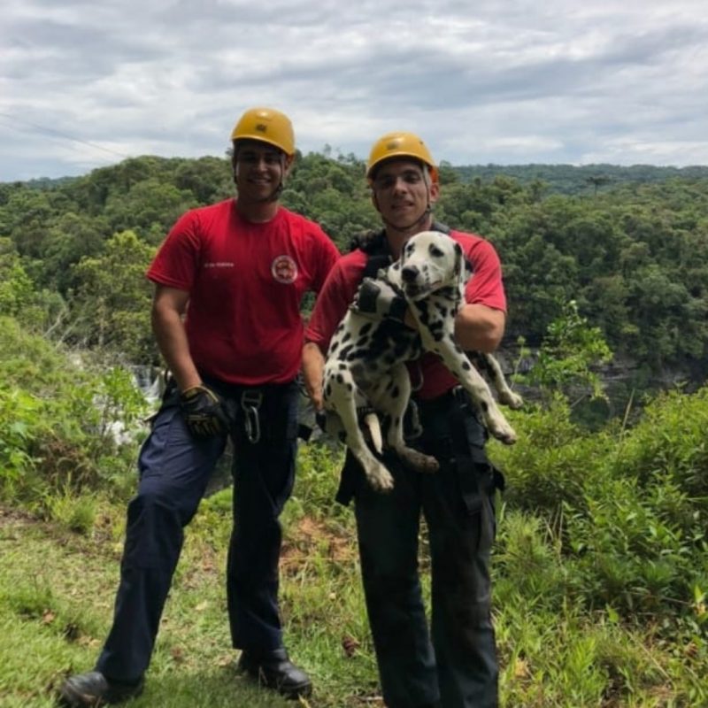 Cachorro &eacute; resgatado por bombeiros ap&oacute;s cair em ribanceira de 20 metros em SC – Foto: Divulga&ccedil;&atilde;o/Corpo de Bombeiros Militar