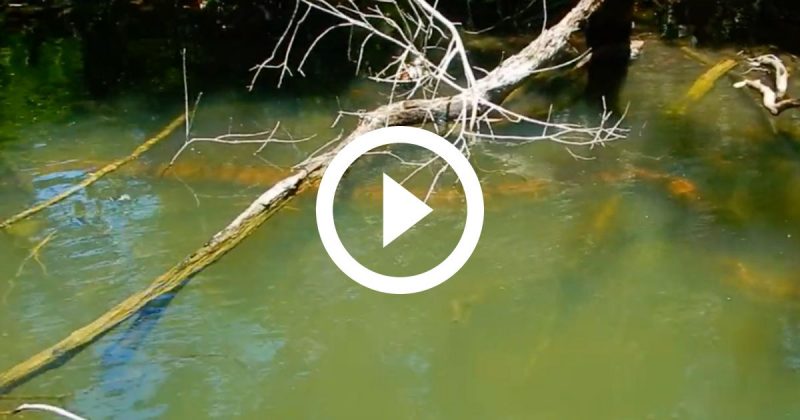 Quando alguém procura algo...