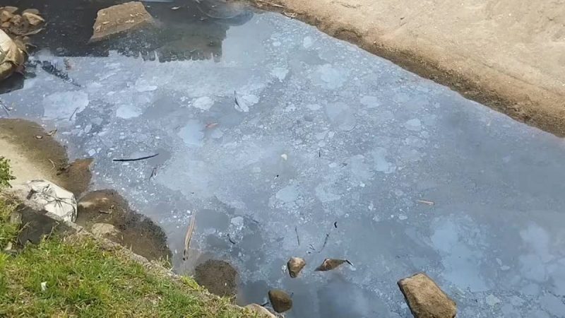 Vereadora pede para fiscalizarem vazamento de esgoto em praia de Florianópolis