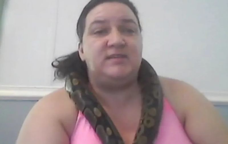 Autora Susan Meachen