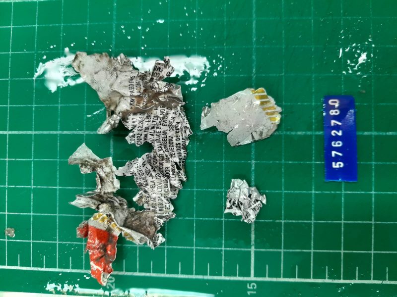 Pesquisadores acham lata de cerveja dentro de tartaruga encontrada morta em praia de SC – Foto: PMP-BS/Udesc/Divulga&ccedil;&atilde;o/ND