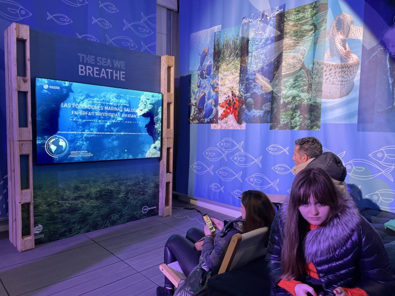 Estrutura interativa de conscientiza&ccedil;&atilde;o dos mares de Alicante estar&aacute; dispon&iacute;vel em Itaja&iacute; – Foto: Reprodu&ccedil;&atilde;o/ND