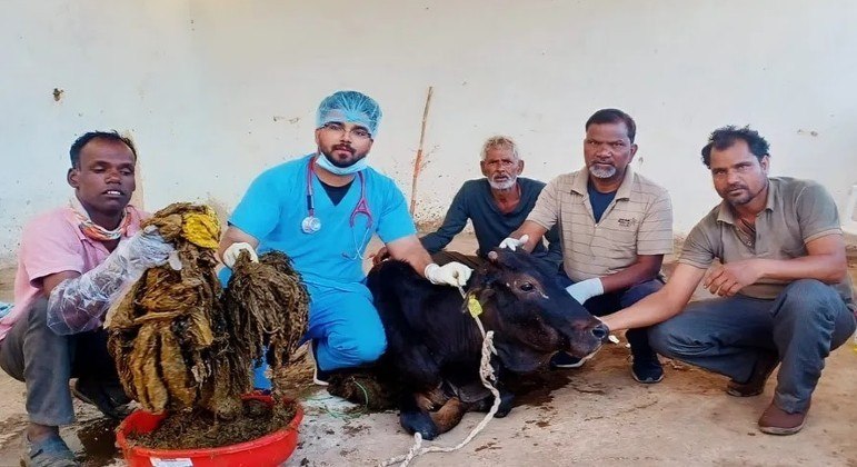 Vaca passa por cirurgia e surpreende veterin&aacute;rios com quantidade de lixo encontrado no est&ocirc;mago – Foto: Reprodu&ccedil;&atilde;o/ND