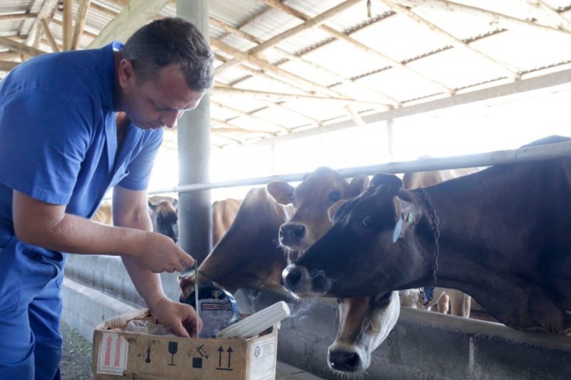 Prefeitura oferece quatro cursos gratuitos para produtores rurais em Joinville – Foto: Prefeitura de Joinville/Divulga&ccedil;&atilde;o