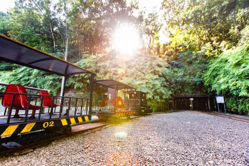 Turismo em Criciúma: mina de carvão para visitação, museus, mirante e gruta